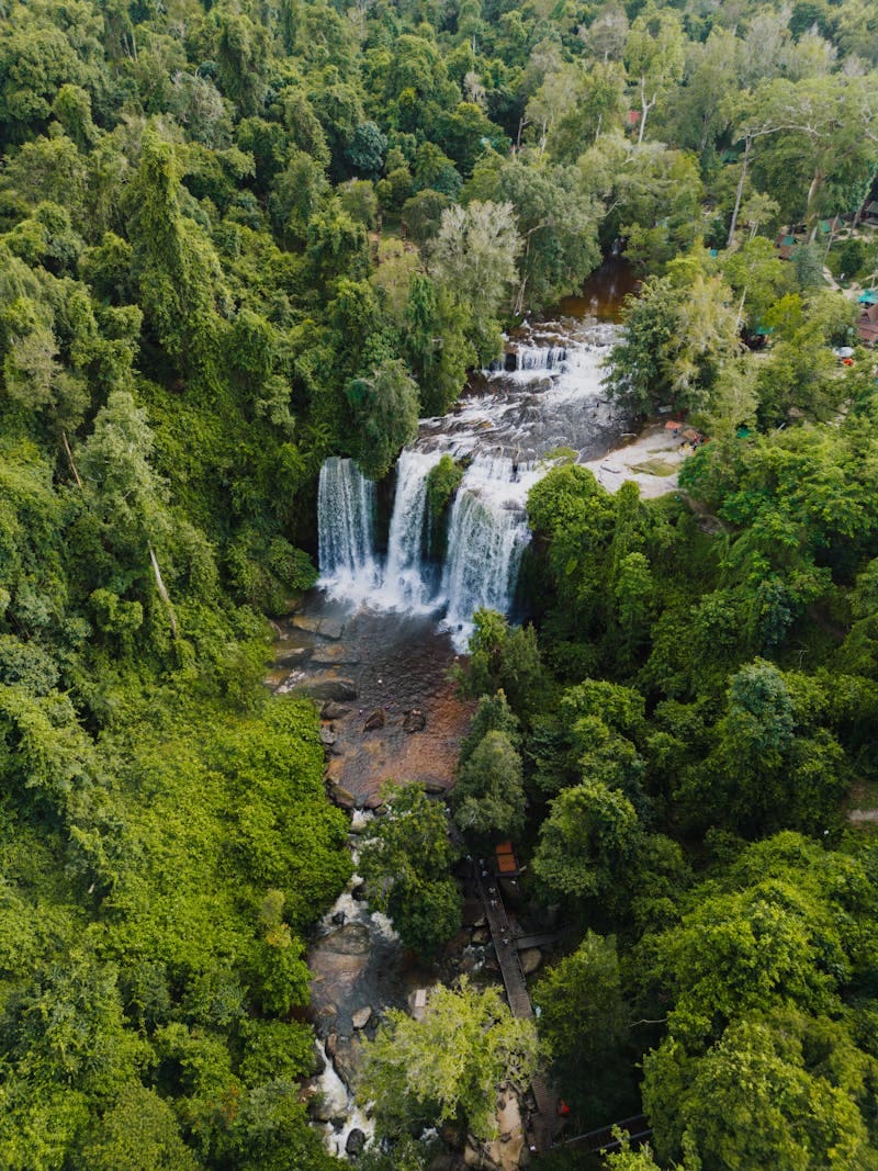 Countryside & Forest Trekking near Siem Reap