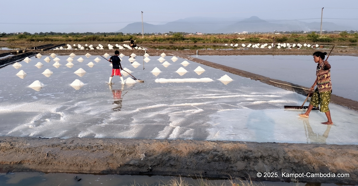 Kampot Salt Fields