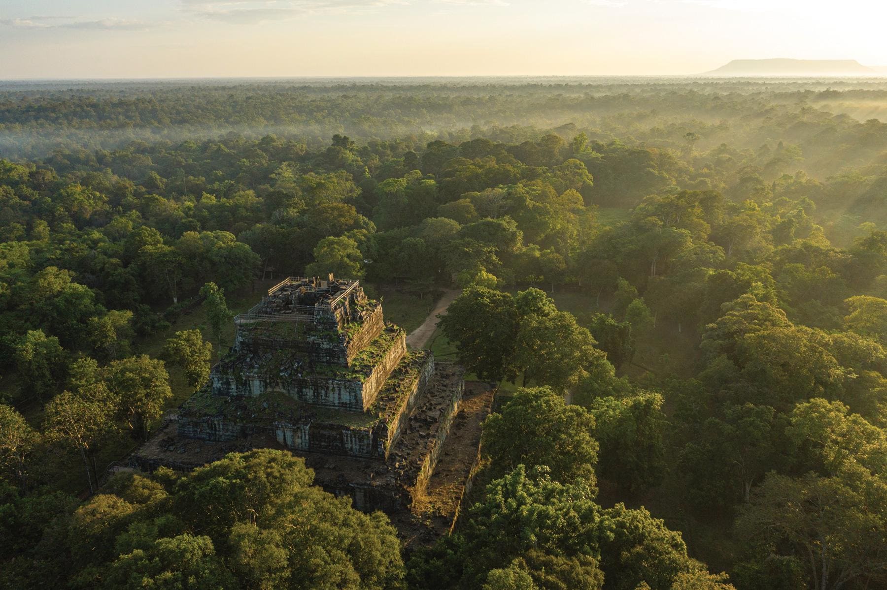 Entre Jungle et Pyramide photo 2