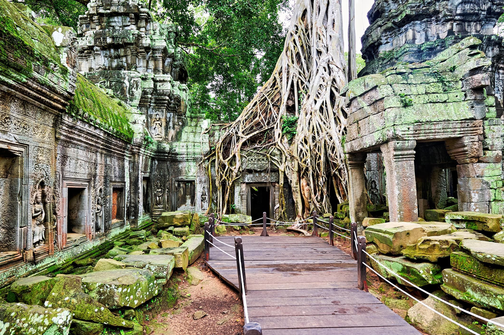 The Hidden Treasures of Angkor Thom & Ta Prohm photo 10