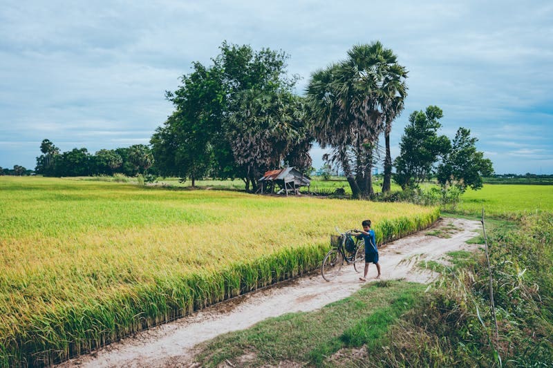 Landmine Museum & Countryside Tour