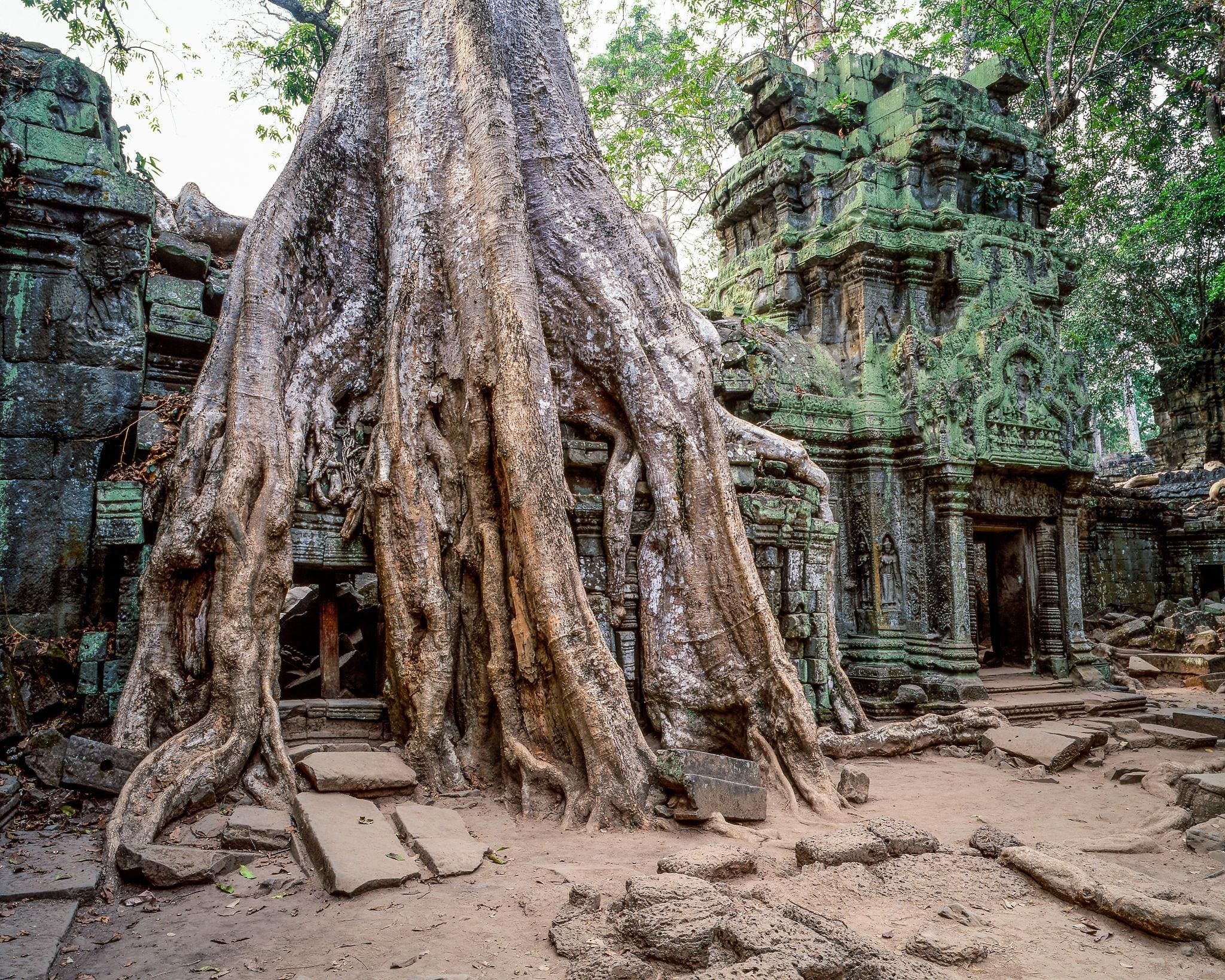 Mystical Dawn at the Temples of Angkor photo 5