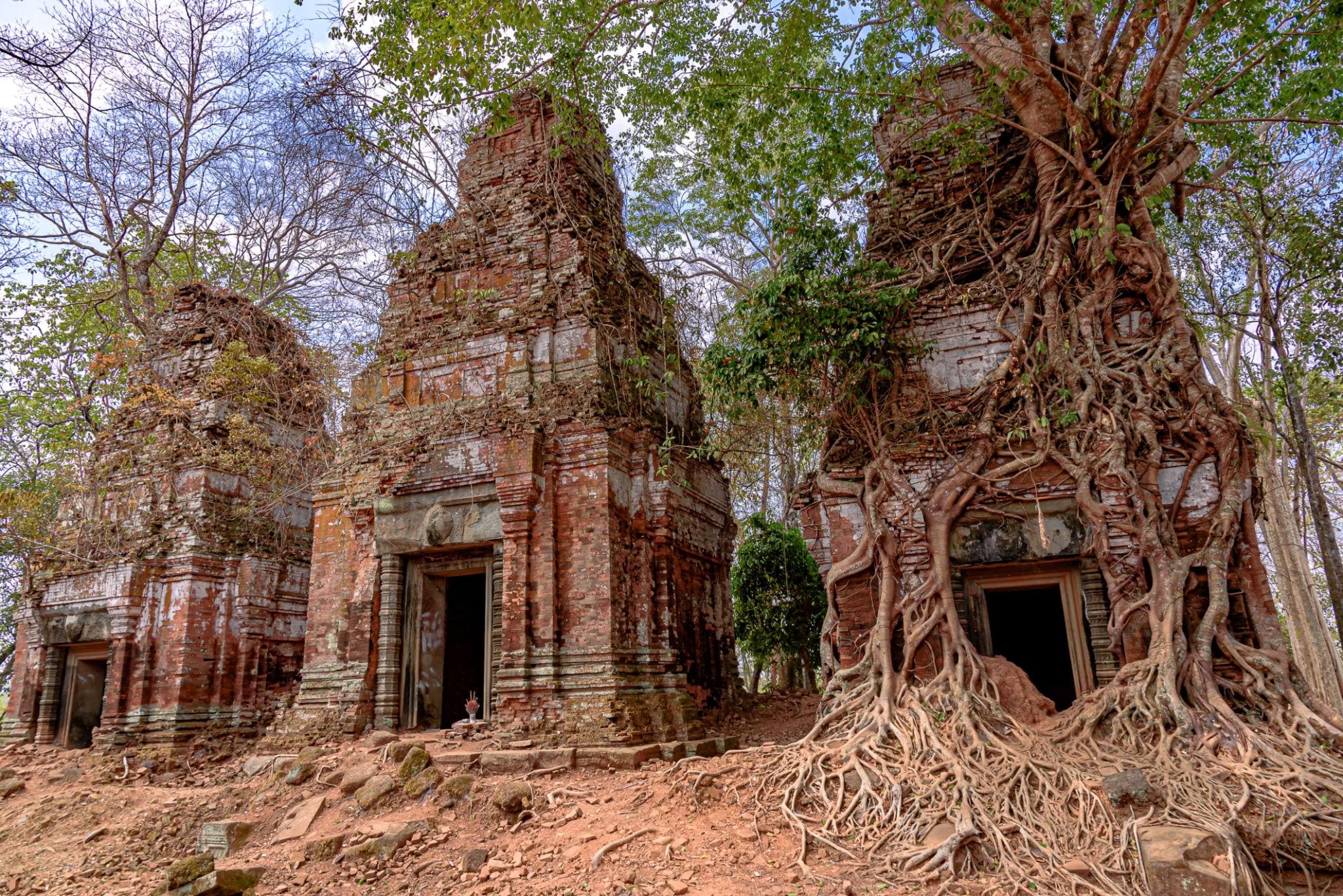 Entre Jungle et Pyramide photo 5