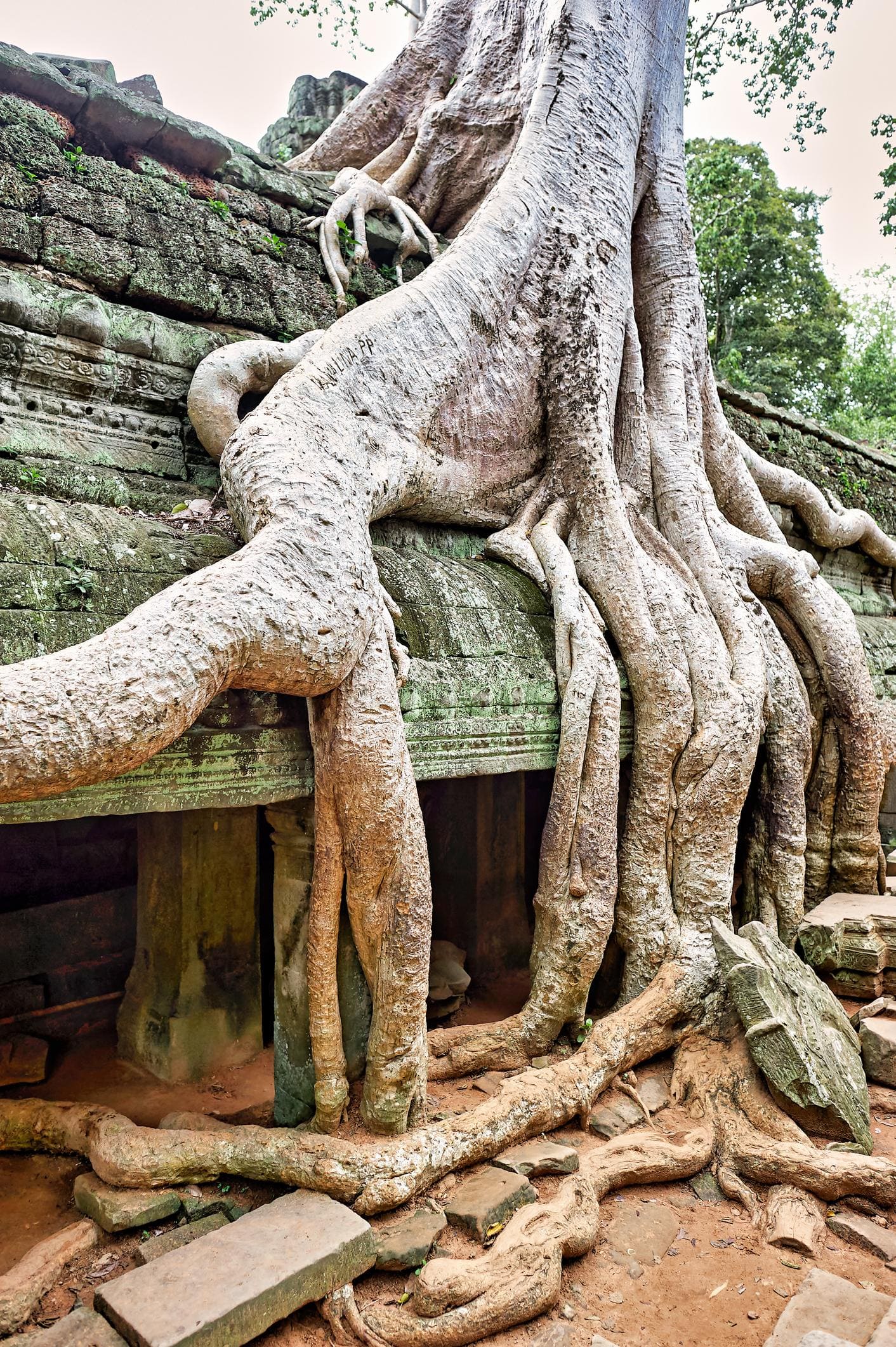 Angkor Immersion : 4 Jours de Temples, Histoire & Culture Khmère photo 10