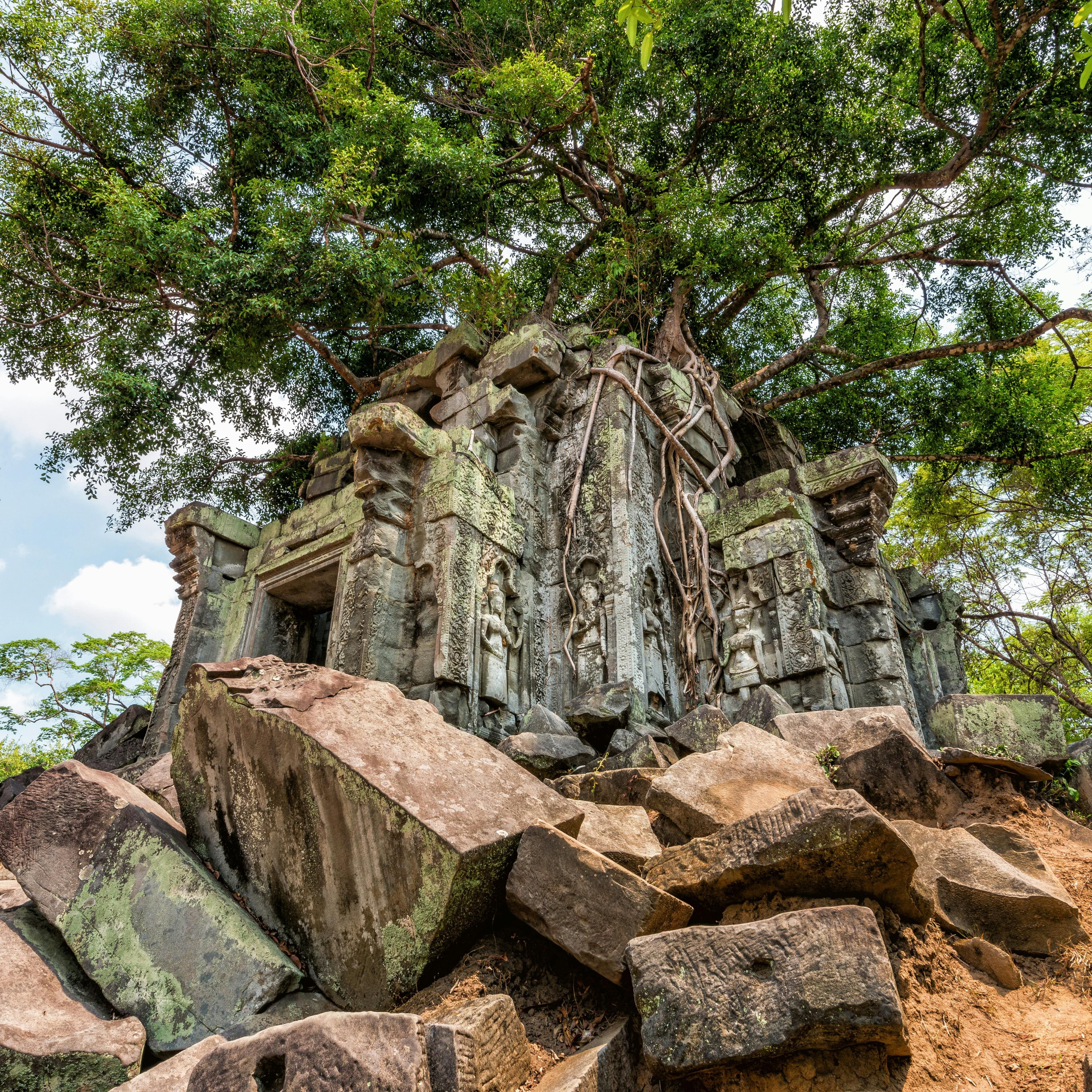Angkor Éternel – 3 Jours de Temples, Jungle & Culture Khmère photo 9