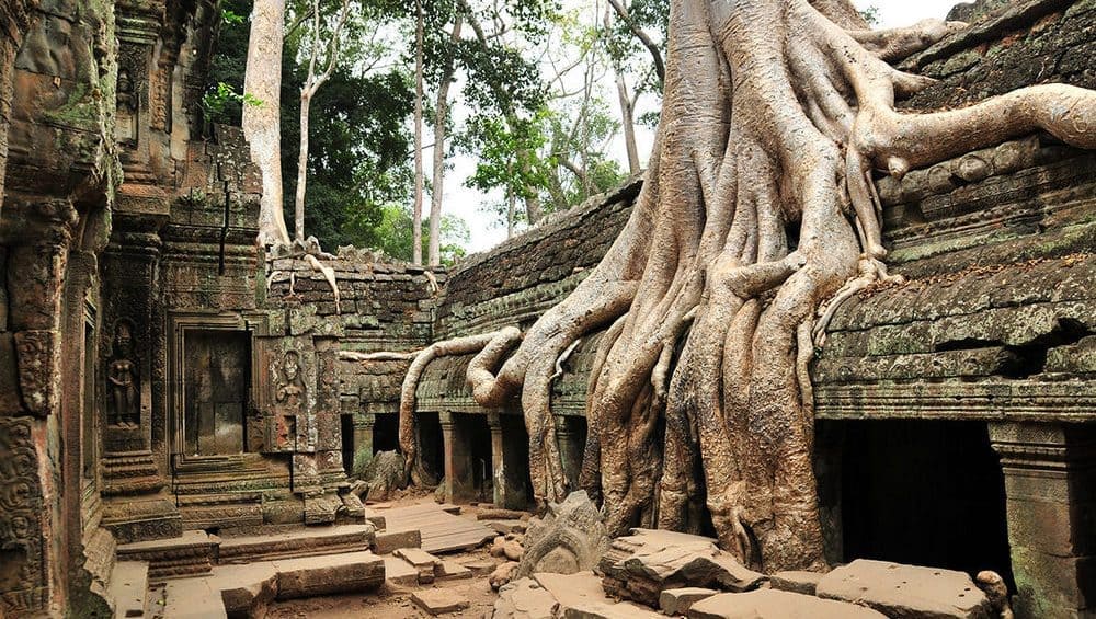 Angkor at Dawn: 2 Days of Khmer Wonders